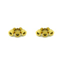 Fast Turn Fittings Titanium Hardware Kit - ARC Oil Cap