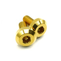 Honda Civic Type R K20C1 turbo water pipe titanium bolts in gold finish