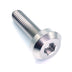 M6 x 1.00 x 24mm Motor Head Bolt – Raw Titanium Dress Up Hardware