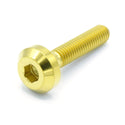 M6 x 1.00 x 30mm Titanium Motor Head Bolt