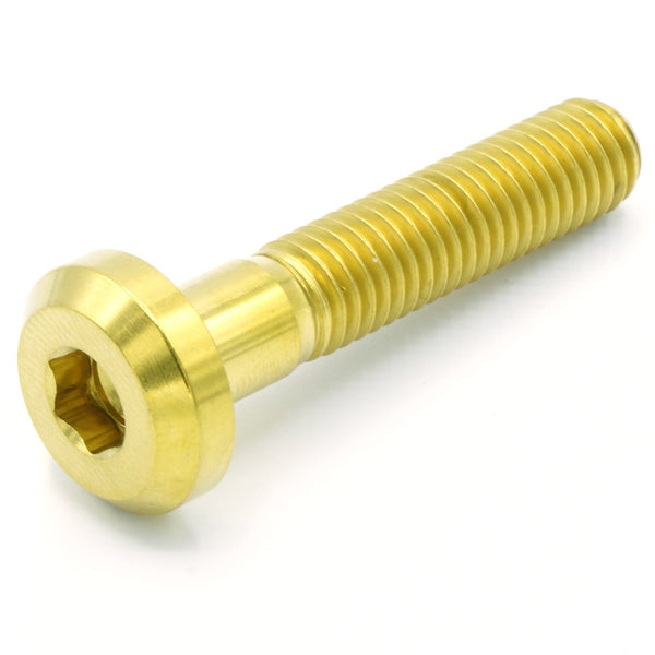 M8 x 1.25 x 40mm Titanium Motor Head Bolt