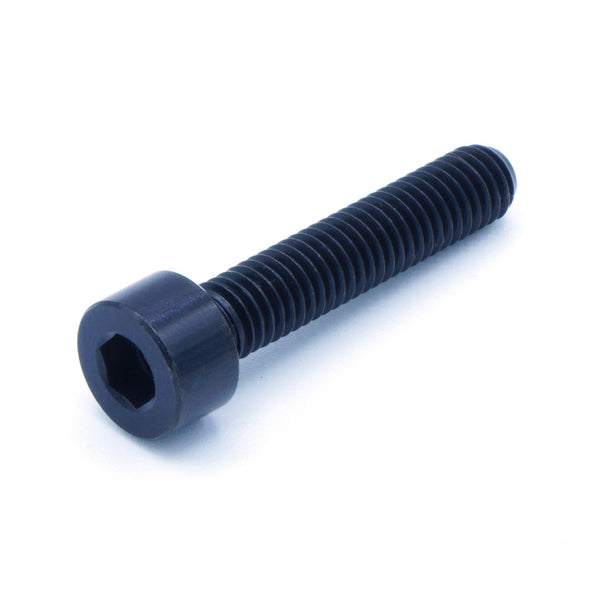 M5 x .8 x 25mm Titanium Socket Head Bolt