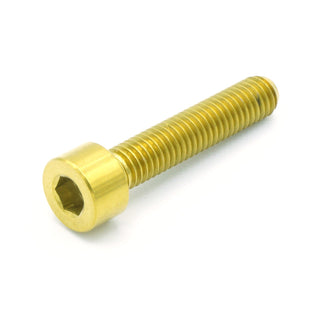 Buy gold M5 x .8 x 25mm Titanium Socket Head Bolt