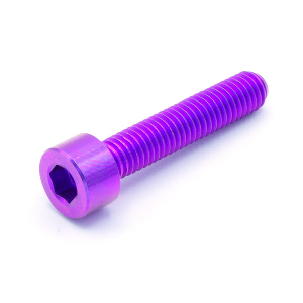 M5 x .8 x 25mm Titanium Socket Head Bolt