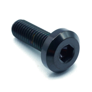 M8 x 1.25 x 25mm Titanium Bolt in Black