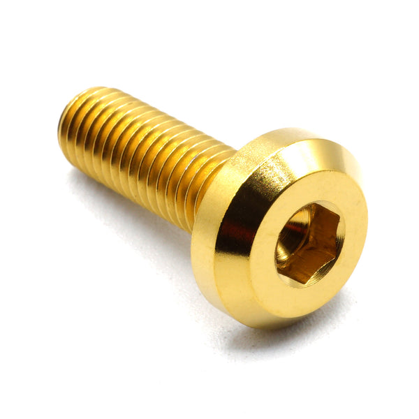 M8 x 1.25 x 25mm Titanium Bolt in Gold