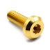 M8 x 1.25 x 25mm Titanium Bolt in Gold