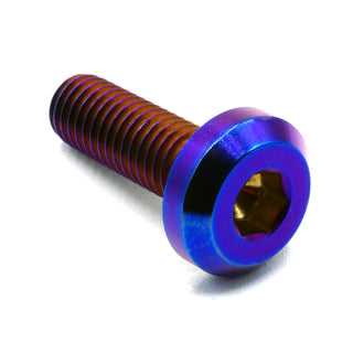 M8 x 1.25 x 25mm Titanium Bolt in Oil Slick