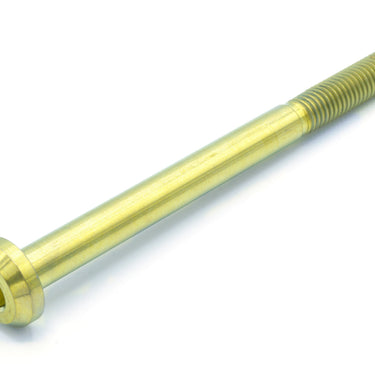 M8 x 1.25 x 100mm Titanium Motor Head Bolt