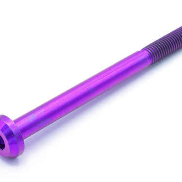 M8 x 1.25 x 100mm Titanium Motor Head Bolt