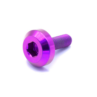 Buy purple M5 x .8 x 15mm Titanium Motor Head Bolt