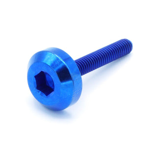 Buy blue M4 x .7 x 25mm Titanium Motor Head Bolt