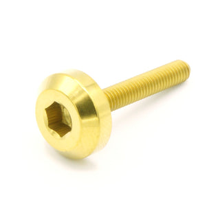 Buy gold M4 x .7 x 25mm Titanium Motor Head Bolt