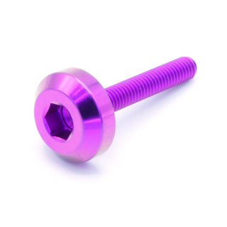 Buy purple M4 x .7 x 25mm Titanium Motor Head Bolt