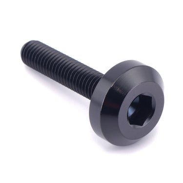 M5 x .8 x 25mm Titanium Motor Head Bolt
