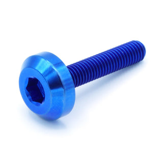 Buy blue M5 x .8 x 25mm Titanium Motor Head Bolt