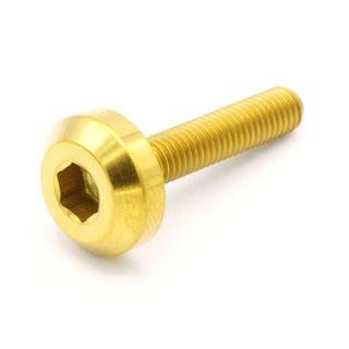 Buy gold M5 x .8 x 25mm Titanium Motor Head Bolt