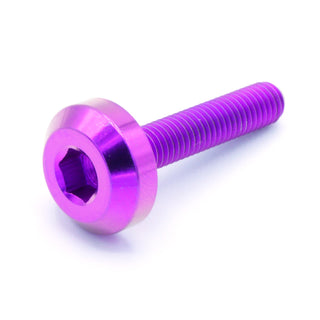Buy purple M5 x .8 x 25mm Titanium Motor Head Bolt