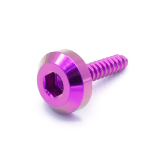 Buy purple M4 x 1.4 x 20mm Titanium Motor Head Screw