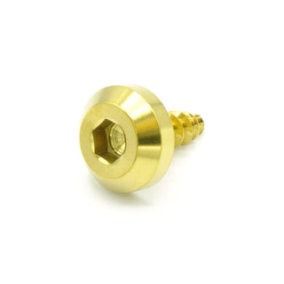 Buy gold M5 x 2.0 x 15mm Titanium Motor Head Screw