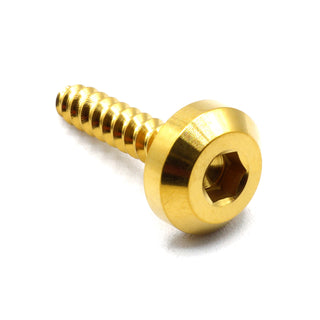 M5 x 2.0 x 25mm Titanium Motor Head Screw Gold