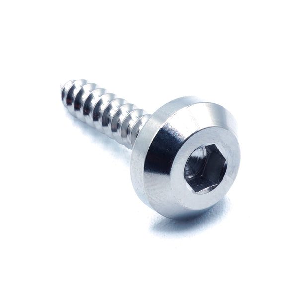 M5 x 2.0 x 25mm Titanium Motor Head Screw Polished
