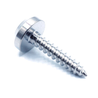 M5 x 2.0 x 25mm Titanium Motor Head Screw Polished