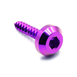 M5 x 2.0 x 25mm Titanium Motor Head Screw Purple
