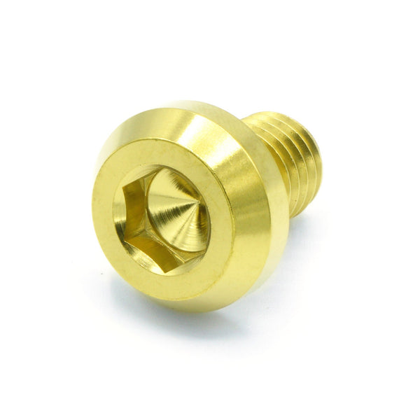 M10 x 1.50 x 15mm Titanium Motor Head Bolt