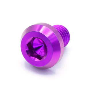 Buy purple M10 x 1.50 x 15mm Titanium Motor Head Bolt