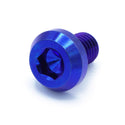 M10 x 1.25 x 15mm Titanium Motor Head Bolt
