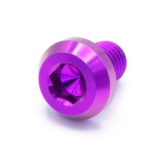 Buy purple M10 x 1.25 x 15mm Titanium Motor Head Bolt