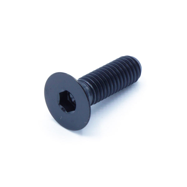 M6 x 1.00 x 10mm Titanium Countersunk Bolt