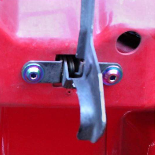 Pontiac Firebird/Trans Am (1998-2002) F-Body Titanium Hood Kit