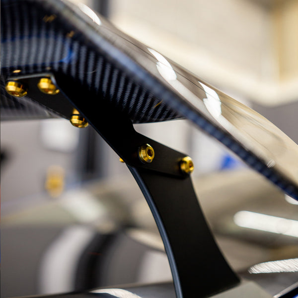 SARD LSR Style Wing