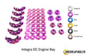 Acura Integra DC (1994-2001) Titanium Dress Up Bolts Full Engine Bay Kit - DressUpBolts.com